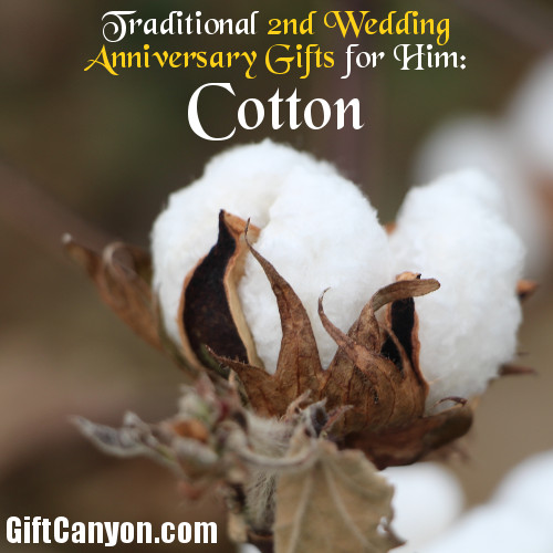 Traditional 2nd Wedding Anniversary Gifts For Him Cotton Gift Canyon,Potting Soil Mix Ingredients