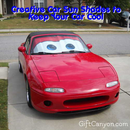 cool sun shades for car