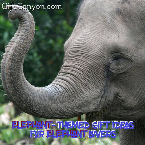gift ideas for elephant lovers