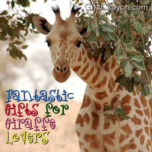 Giraffe Gifts for Giraffe Lovers